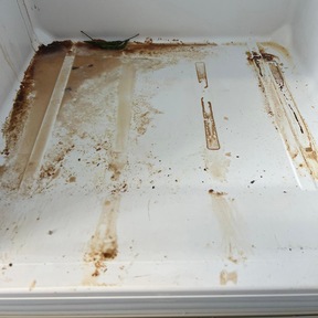 Student Accommodation Cleaner UK